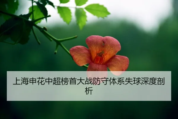 shang-hai-shen-hua-zhong-chao-bang-shou-da-zhan-fang-shou-ti-xi-shi-qiu-shen-du-pou-xi-2-570.jpg