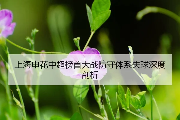 shang-hai-shen-hua-zhong-chao-bang-shou-da-zhan-fang-shou-ti-xi-shi-qiu-shen-du-pou-xi-3-999.jpg