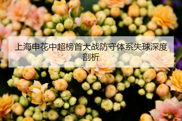 上海申花中超榜首大战防守体系失球深度剖析