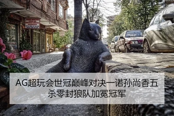 AG超玩会世冠巅峰对决一诺孙尚香五杀零封狼队加冕冠军